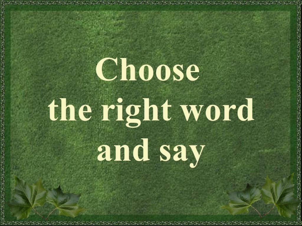 Choose the right word and say